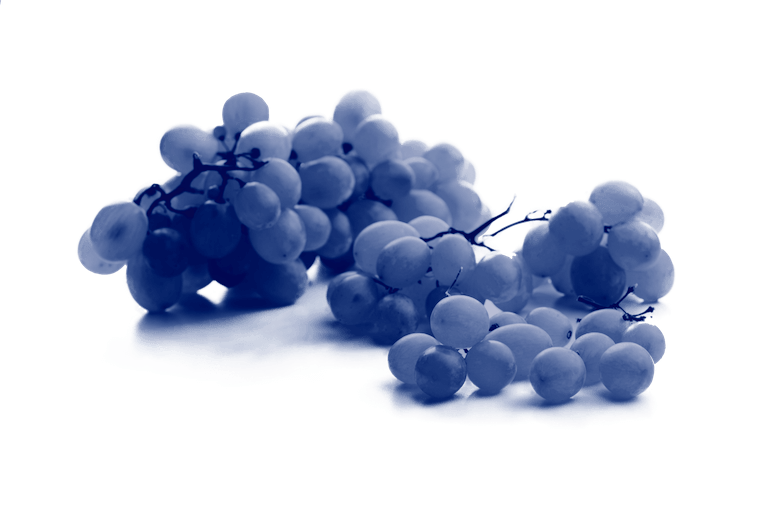 grappoli d'uva